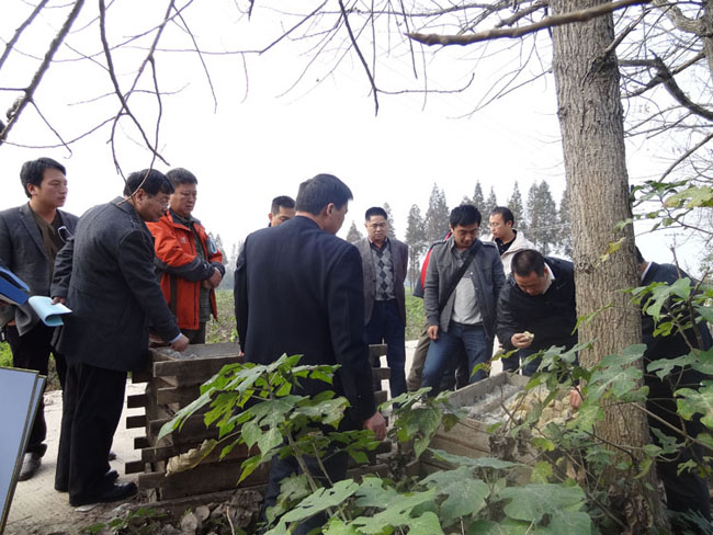 江漢—洞庭項(xiàng)目野外驗(yàn)收獲優(yōu)