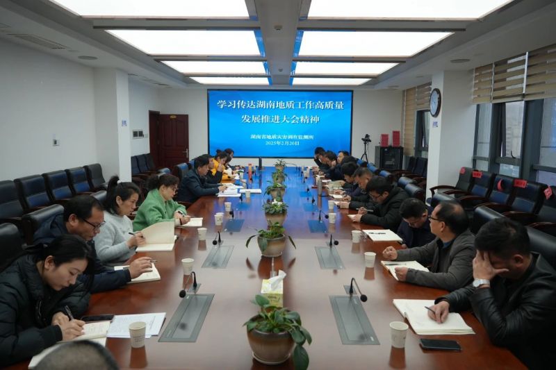 【統籌發展和安全】省地災所學習傳達省地質院“兩大會議”精神
