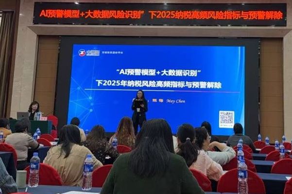 深化AI與大數(shù)據(jù)應(yīng)用，精準(zhǔn)防控2025納稅風(fēng)險(xiǎn)